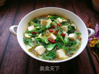 小白菜豆腐炖粉条的做法步骤：13