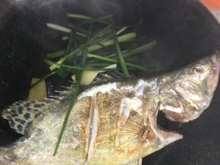 红烧桂鱼的做法步骤：6