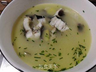 黑鱼汤的做法步骤：11