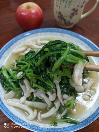 小青菜烧白玉菇的做法步骤：7