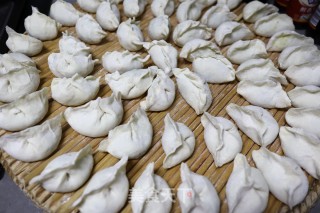 韭菜茴香双馅饺子的做法步骤：10