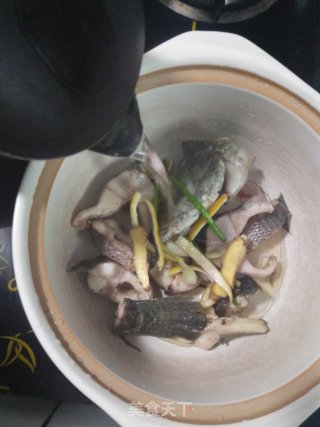 炖乌鱼汤的做法步骤：6