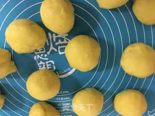 波兰种椰蓉南瓜餐包的做法步骤：10