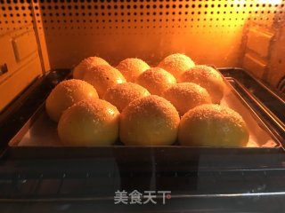 波兰种椰蓉南瓜餐包的做法步骤：15