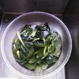 海鲜菇炒青菜的做法步骤：2
