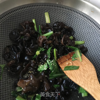 菜心炒木耳的做法步骤：13