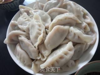 牛肉佛手瓜馅饺子的做法步骤：10