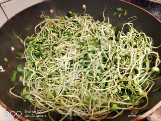 葱香黑豆芽的做法步骤：5