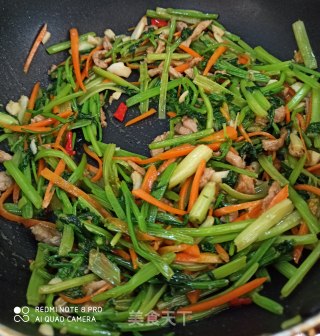 香芹肉丝的做法步骤：10