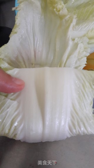 饭菜一锅端的木瓜酿、白菜卷的做法步骤：11