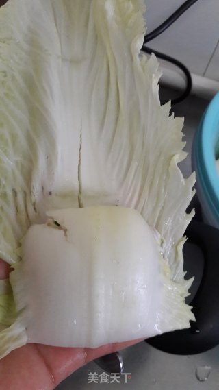 饭菜一锅端的木瓜酿、白菜卷的做法步骤：14
