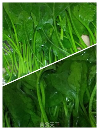 胡萝卜炒菠菜的做法步骤：3