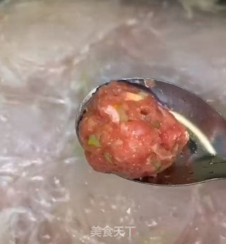 牛肉粉丝萝卜汤的做法步骤：14