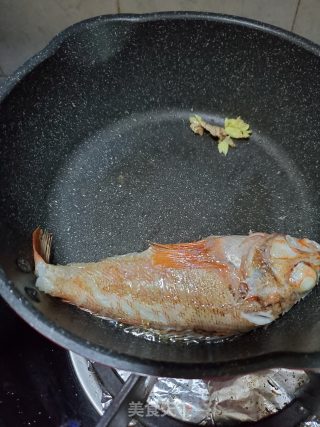 青蒜烧红宝石斑鱼的做法步骤：3