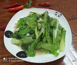 蒜泥生菜的做法步骤：7