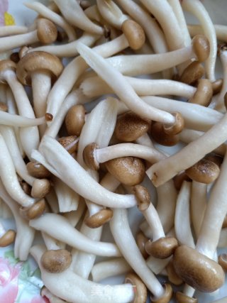 鱼头豆腐汤的做法步骤：5