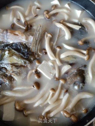 鱼头豆腐汤的做法步骤：10