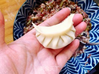 豆角猪肉馅蒸饺的做法步骤：9