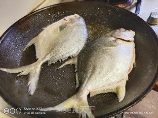 红焖鲳鱼的做法步骤：2