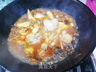 红烧鸡块的做法步骤：4