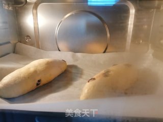 粗粮蔓越莓免揉面包～玉米面的做法步骤：4