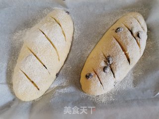粗粮蔓越莓免揉面包～玉米面的做法步骤：7