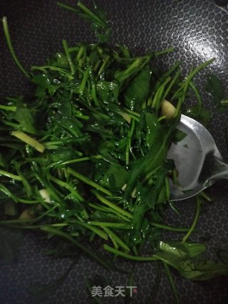 炒菠菜的做法步骤：4