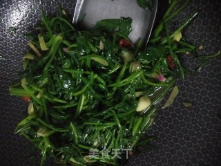炒菠菜的做法步骤：5