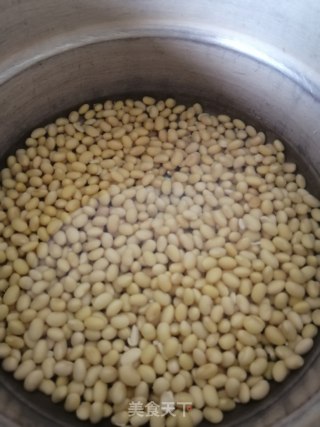 紫薯包，红豆包，豆浆的做法步骤：11