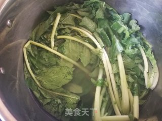晒白萝卜缨的做法步骤：3