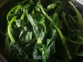 晒白萝卜缨的做法步骤：4