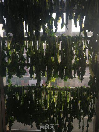 晒白萝卜缨的做法步骤：5