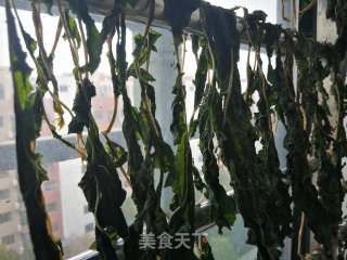 晒白萝卜缨的做法步骤：6