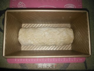 发芽荞麦面包的做法步骤：13