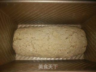 发芽荞麦面包的做法步骤：14