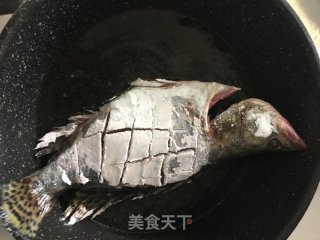 茄汁桂鱼的做法步骤：5