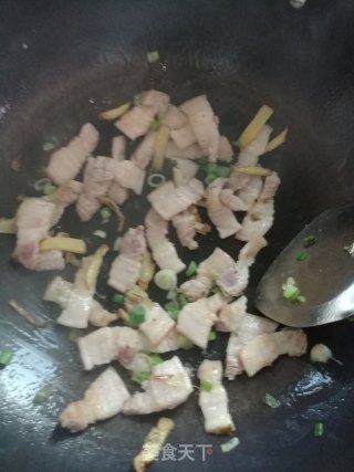 猪肉炖粉条的做法步骤：8
