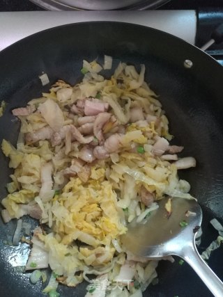 猪肉炖粉条的做法步骤：9