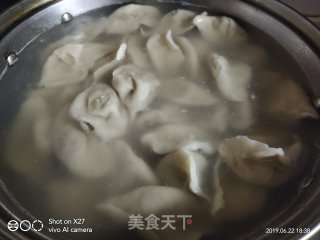 北方人喜欢吃饺子，作为南方人的我也喜欢吃面食，美味的一盘饺子，不比外面卖的差，操作简单！一份玉米肉末饺子的做法步骤：7