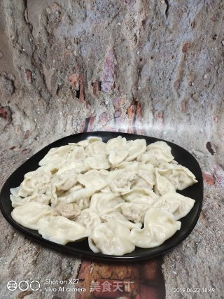 北方人喜欢吃饺子，作为南方人的我也喜欢吃面食，美味的一盘饺子，不比外面卖的差，操作简单！一份玉米肉末饺子的做法步骤：9