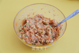 胡萝卜鸡肉煎饺的做法步骤：4