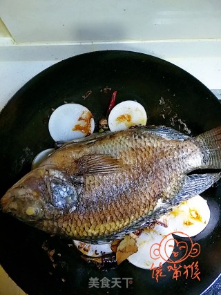 罗非鱼炖白萝卜的做法步骤：11