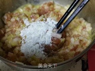 红烧狮子头的做法步骤：6
