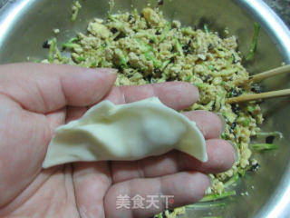 西葫芦豆腐素馅饺子的做法步骤：16