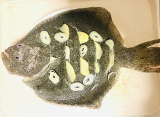 清蒸多宝鱼的做法步骤：2