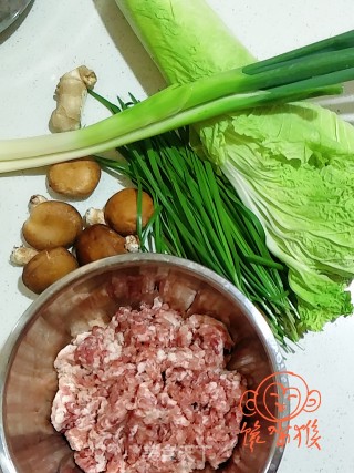 猪肉白菜馅饺子的做法步骤：4