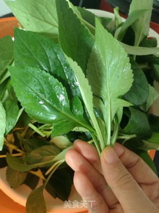 苦菜大肠头汤的做法步骤：4