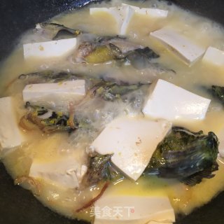 昂刺鱼豆腐汤的做法步骤：8