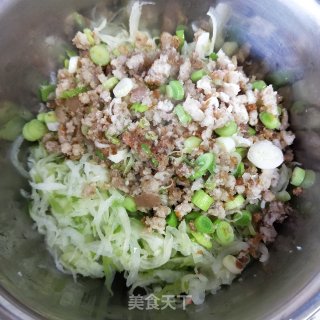 清蒸萝卜丸的做法步骤：10