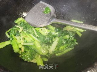 清炒菜心的做法步骤：6